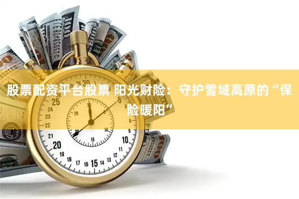 股票配资平台股票 阳光财险：守护雪域高原的“保险暖阳”